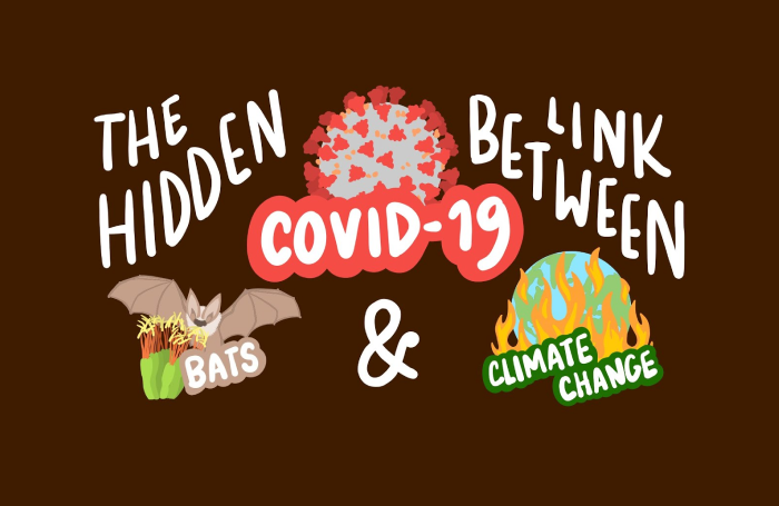 The hidden link between bats, COVID-19, and climate change