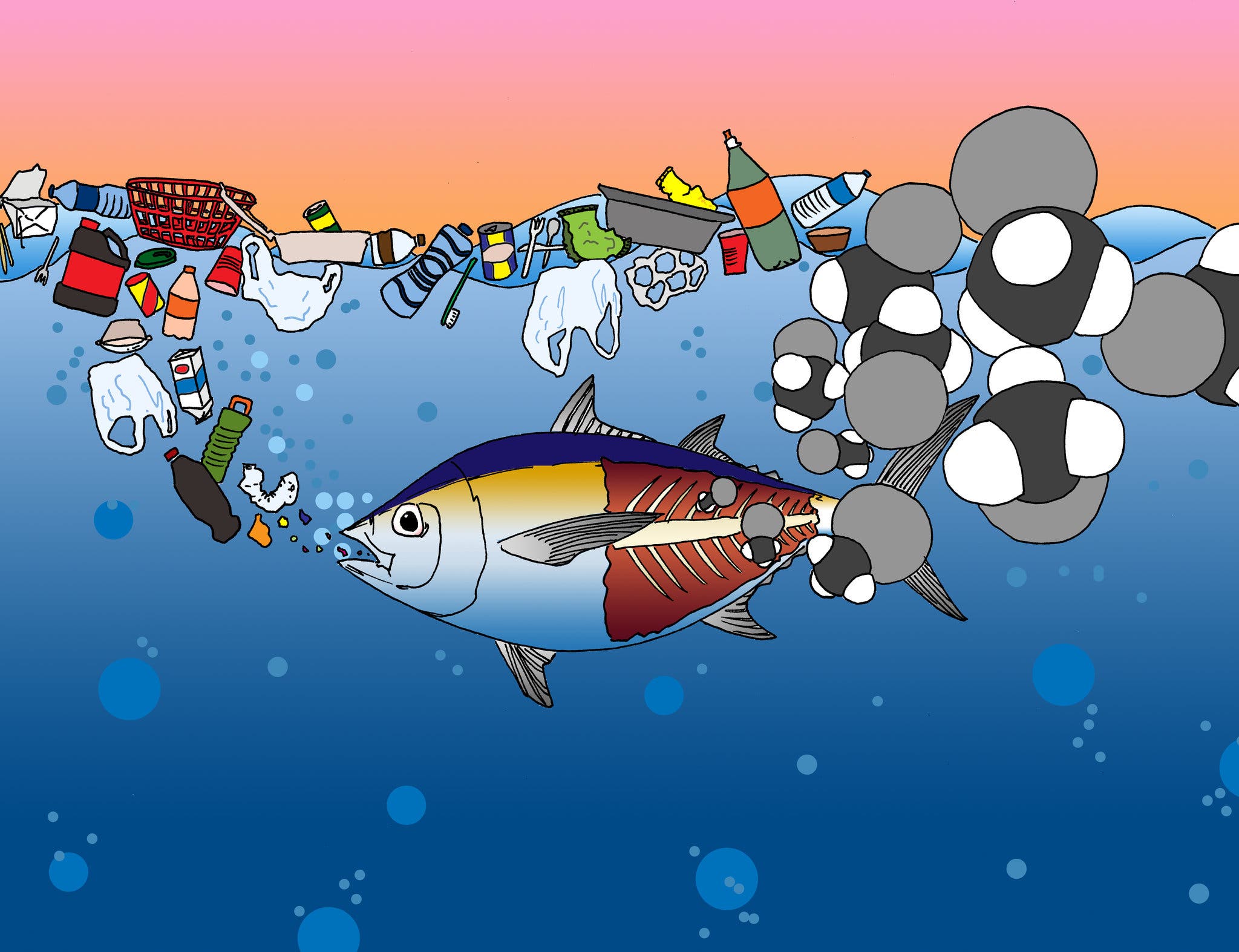 An unexpected dinner guest: marine plastic pollution hides a neurological toxin in our food